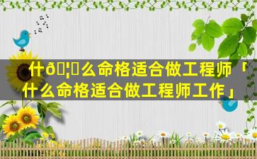 什🦊么命格适合做工程师「什么命格适合做工程师工作」