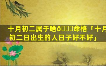 十月初二属于啥🐋命格「十月初二日出生的人日子好不好」